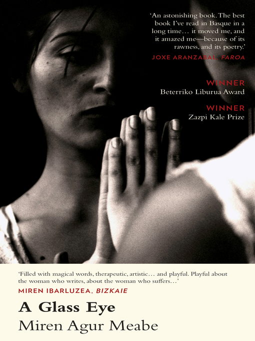 Title details for A Glass Eye by Miren Agur Meabe - Available